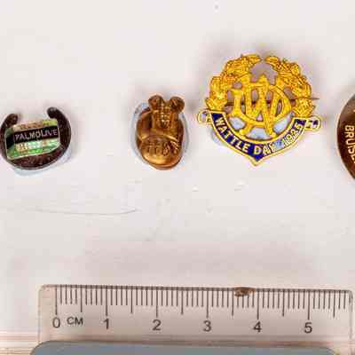 Badges
