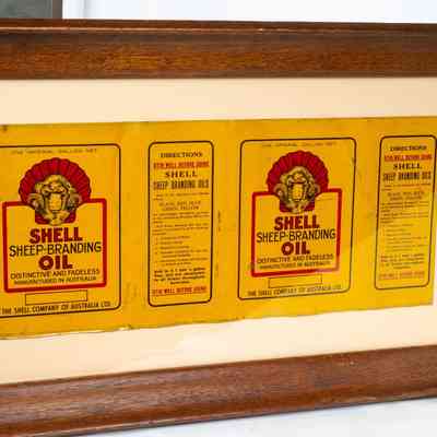 Shell branding oil