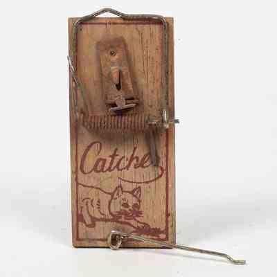 Wooden Mousetrap.