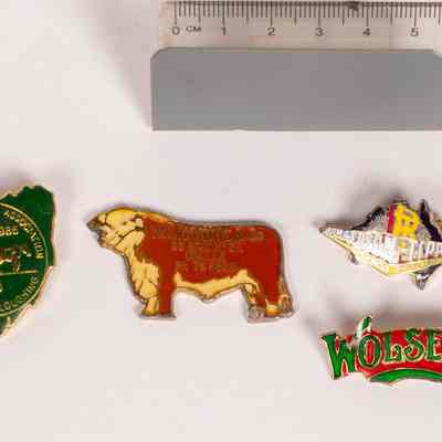 Badges