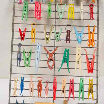 Plastic Pegs