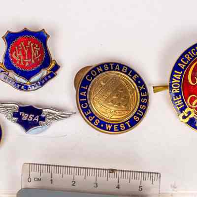 Badges
