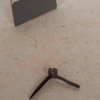 Climbing plant Nail