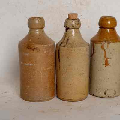 Ginger beer bottles