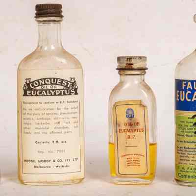 Eucalyptus bottles