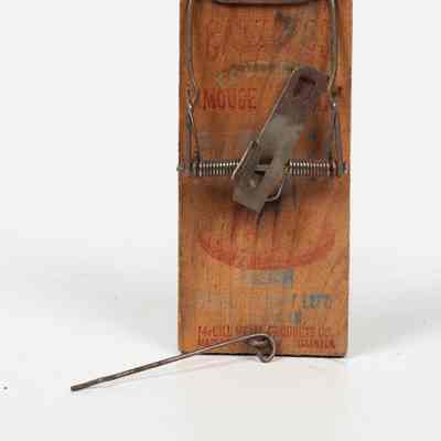 Wooden Mousetrap
