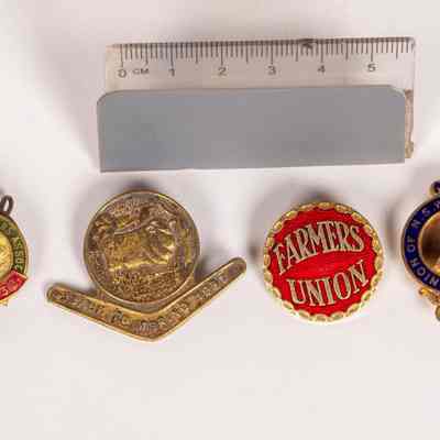 Badges