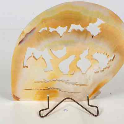 Pearl shell