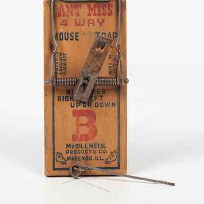 Wooden Mousetrap