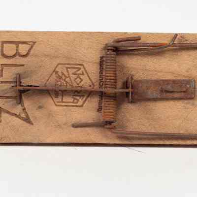 Wooden Mousetrap