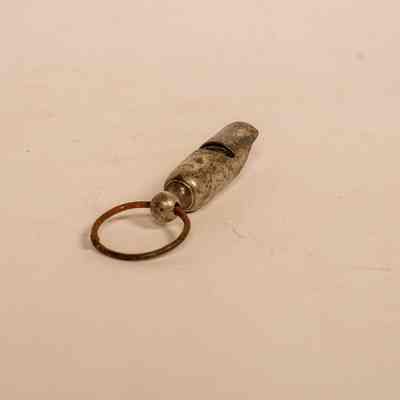 Whistle