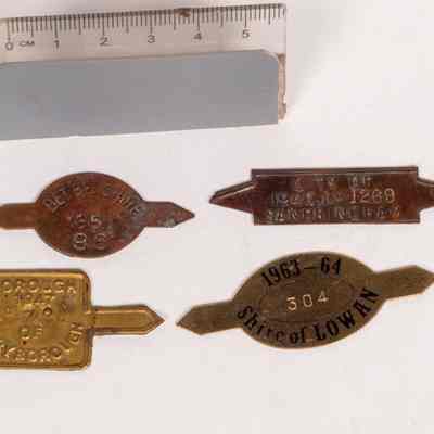 Dog Tags
