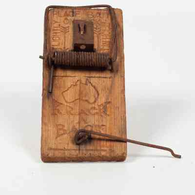 Wooden Mousetrap