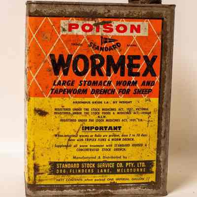 Worm X