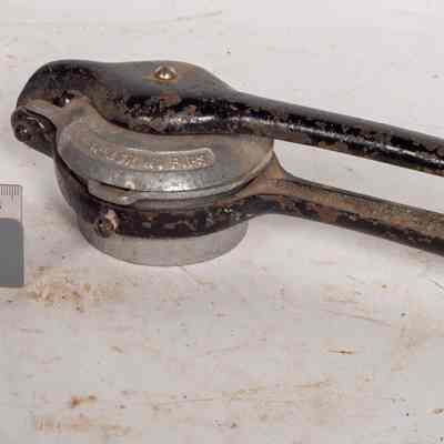Lemon or Orange Squeezer