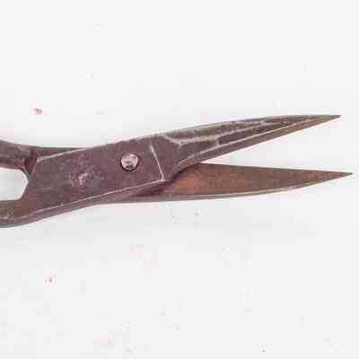 Sail Scissors