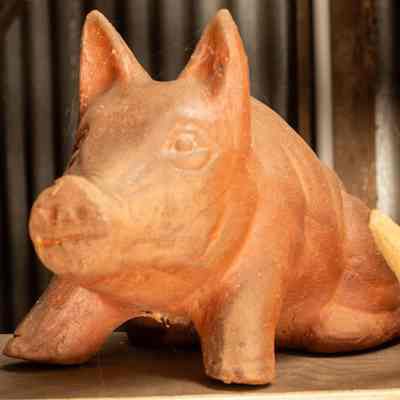 Ceramic Pig