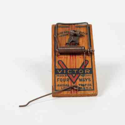 Wooden Mousetrap