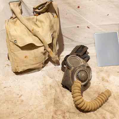 Gas mask
