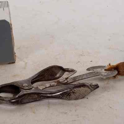 Skirt Lifter
