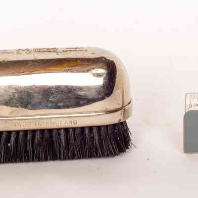 Brush