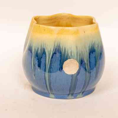 Ramued vase