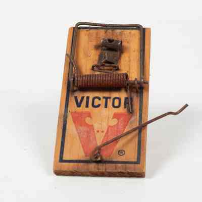 Wooden Mousetrap