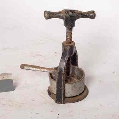 Vertical Lemon or Orange Squeezer