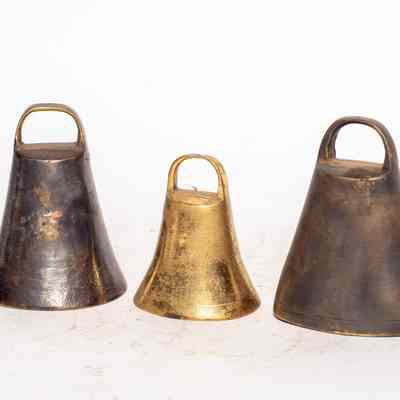 Donkey Bells