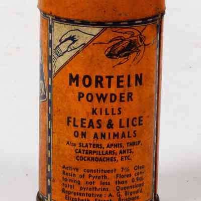Insect Powder tin for killing flowers