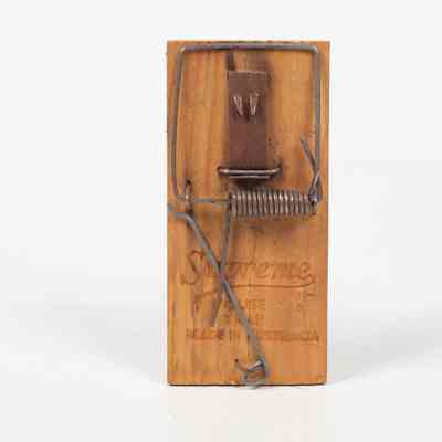 Mousetrap