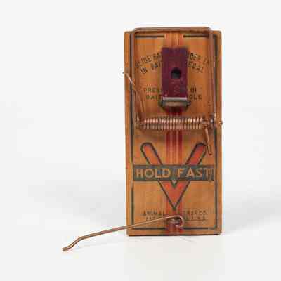 Mousetrap