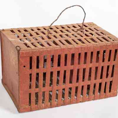 Hoop iron homemade rat trap