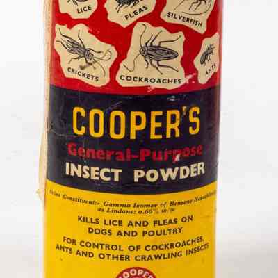 Insect powder tin for killing flowers