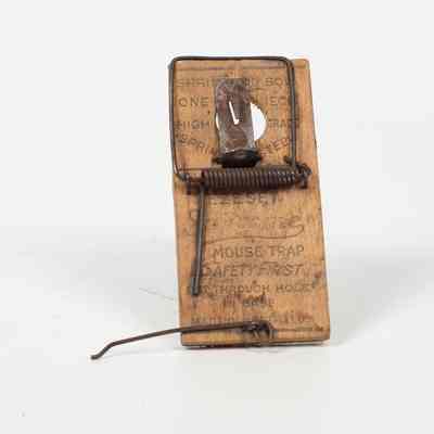 Wooden Mousetrap