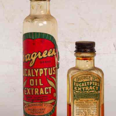 Eucalyptus bottles