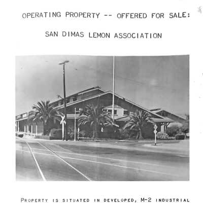 San Dimas Lemon Association