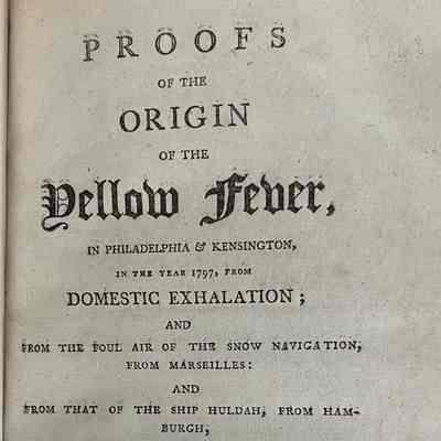 Proofs of the origin of the yellow fever