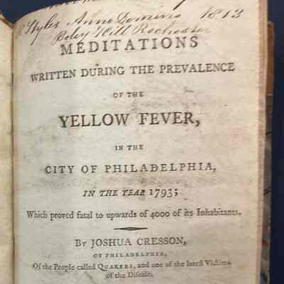 Meditations on Yellow Fever