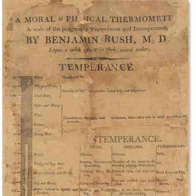 A Moral & Physical Thermometer.