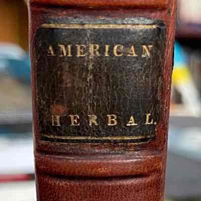 The American Herbal, or Material Medica.