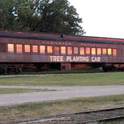Tree Planting Car