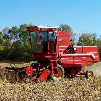 Combine; Massey Ferguson 205