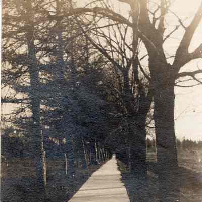 P79-97 1910 West Side of Main Street