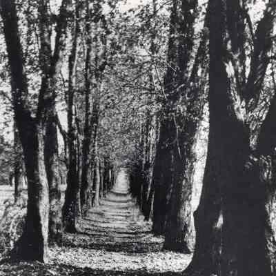 P90-62 Looking South on the East Side of Main Street from about Hickory Street