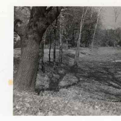 P74-272 1938 Main Street Park (Black Hill) at Main Street and Washington Boulevard