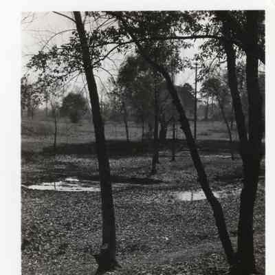 P74-274 1938 Main Street Park (Black Hill) at Main Street and Washington Boulevard