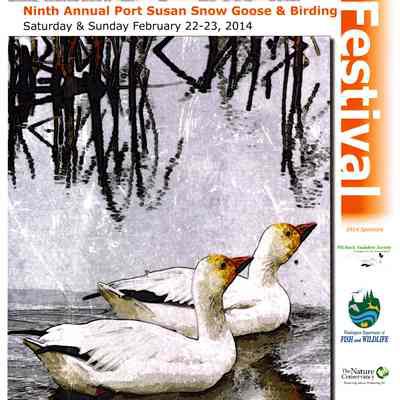 Ninth Annual Port Susan Snow Goose & Birding Festival