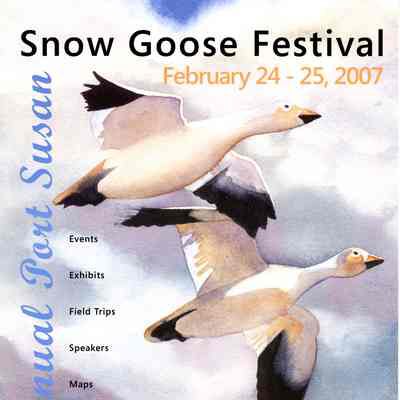 Second Annual Port Susan Snow Goose Festival 2007