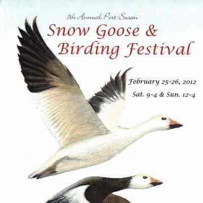 7th Annual Port Susan Snow Goose & Birding Festival
